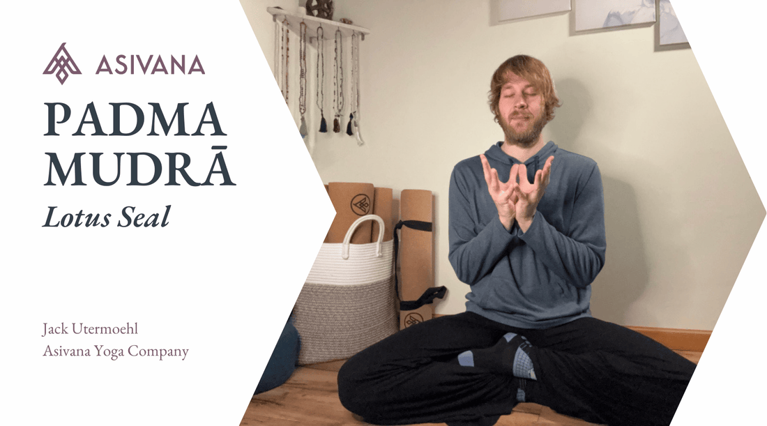Padma Mudra Lotus Seal Article