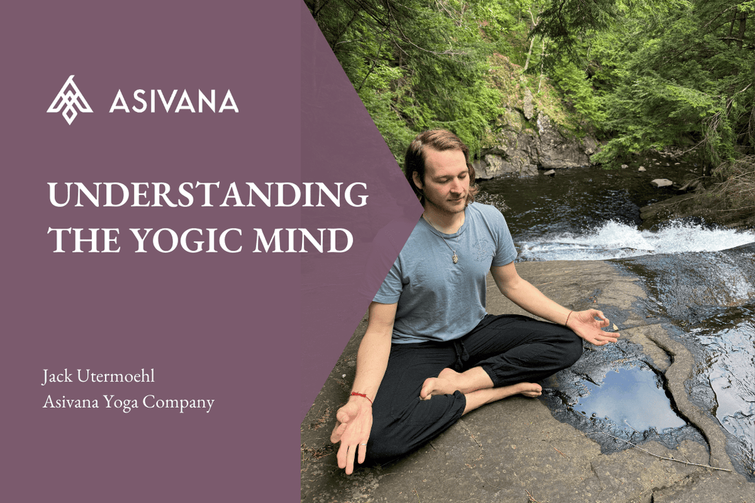 Understanding the Yogic Mind
