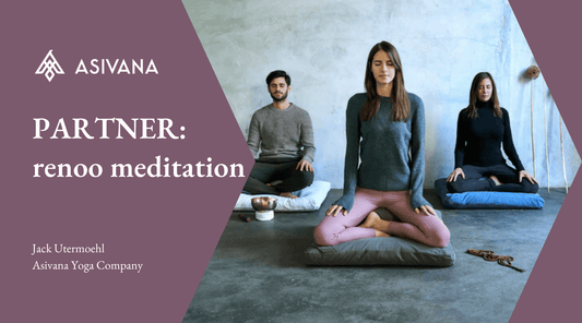 Why We Partnered with renoo meditation