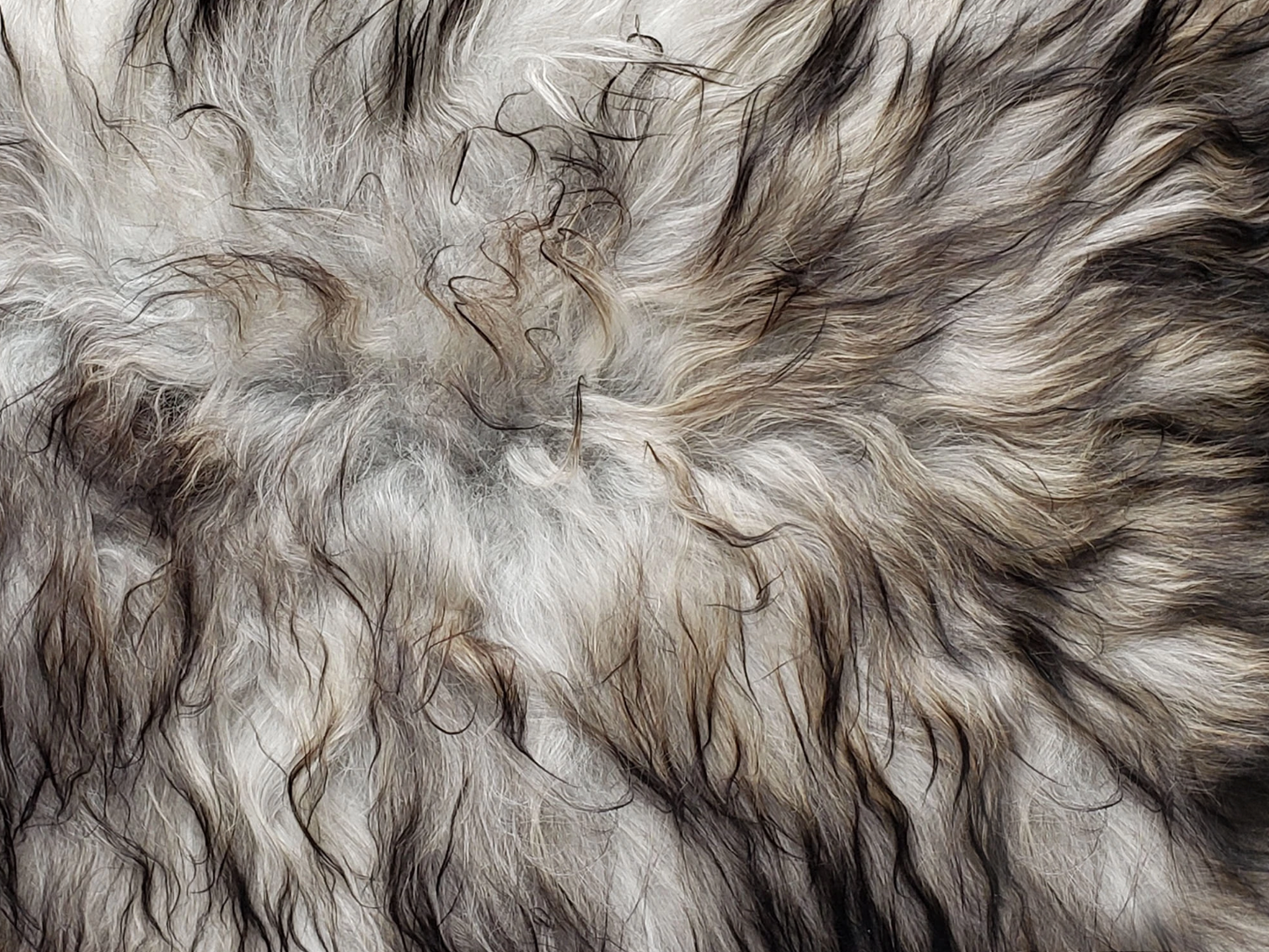 Exotic Icelandic Sheepskin Meditation Rug Close Up