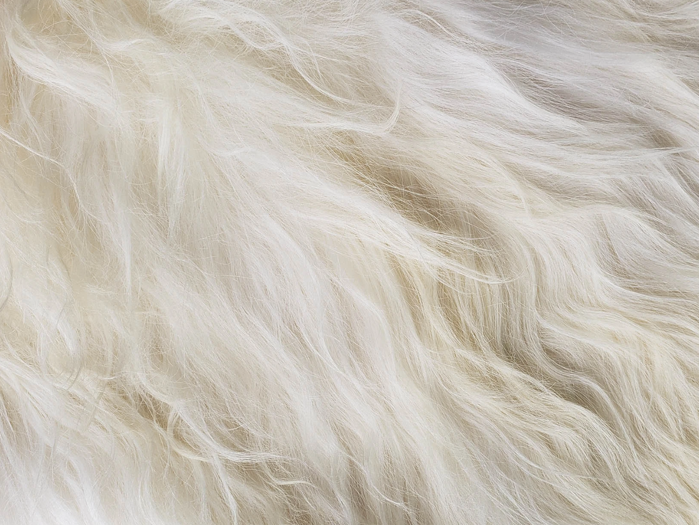 White Icelandic Sheepskin Meditation Rug Close Up
