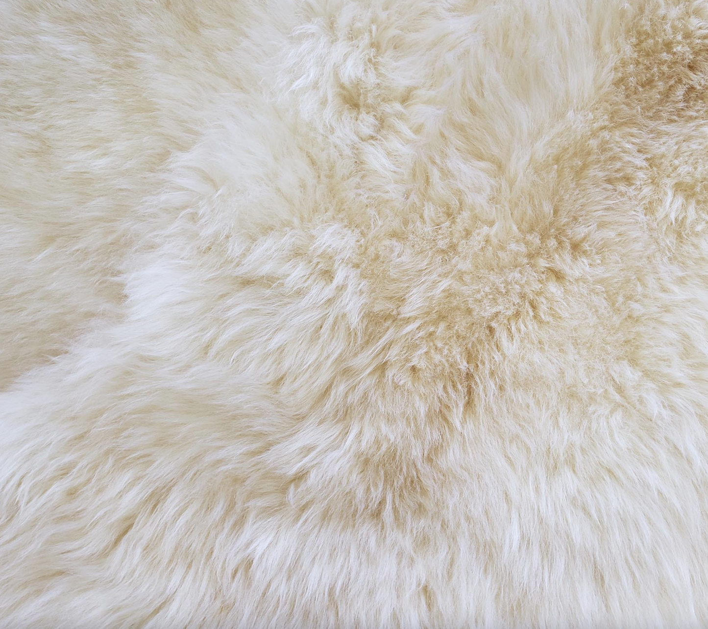 White New Zealand Sheepskin Meditation Rug Close Up