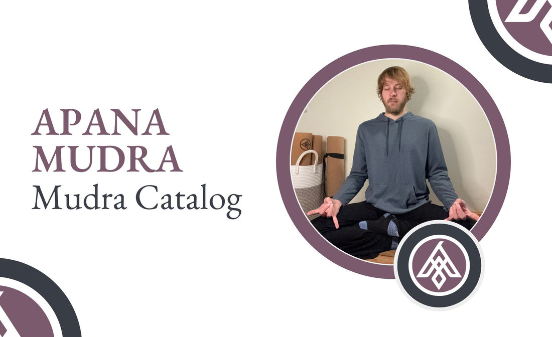 Apana Mudra in Seated Meditation Pose for Asivana Yoga Mudra Catalog by Jack Utermoehl