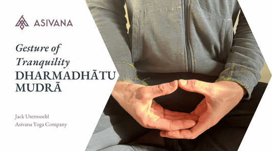 Dharmadhatu Mudra Gesture of Tranquility Article