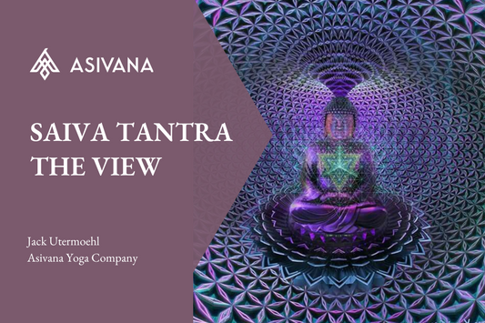 Saiva Tantra Yoga The View