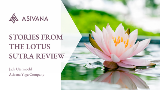 Stories from the Lotus Sutra a New Translation by Aaron Brachfeld