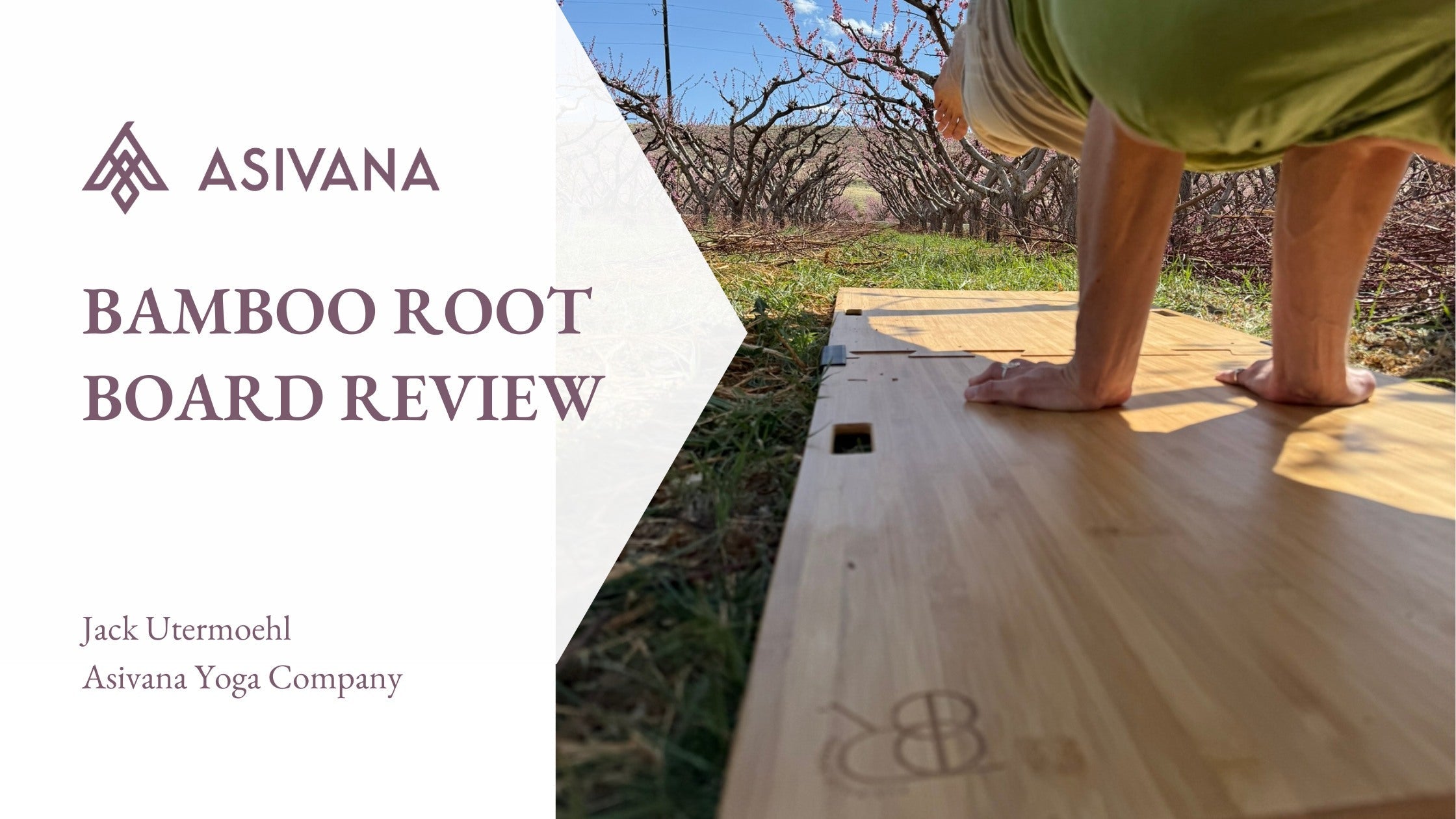 The Bamboo Root Board Review – Asivana Yoga