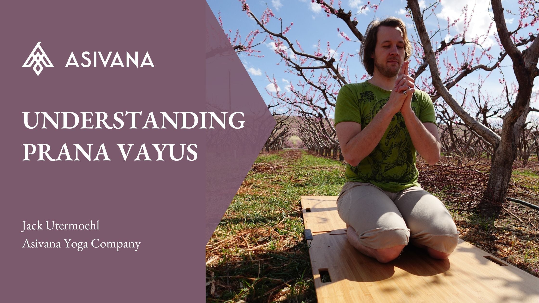 Understanding the Prana Vayus – Asivana Yoga