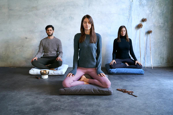 renoo meditation collection