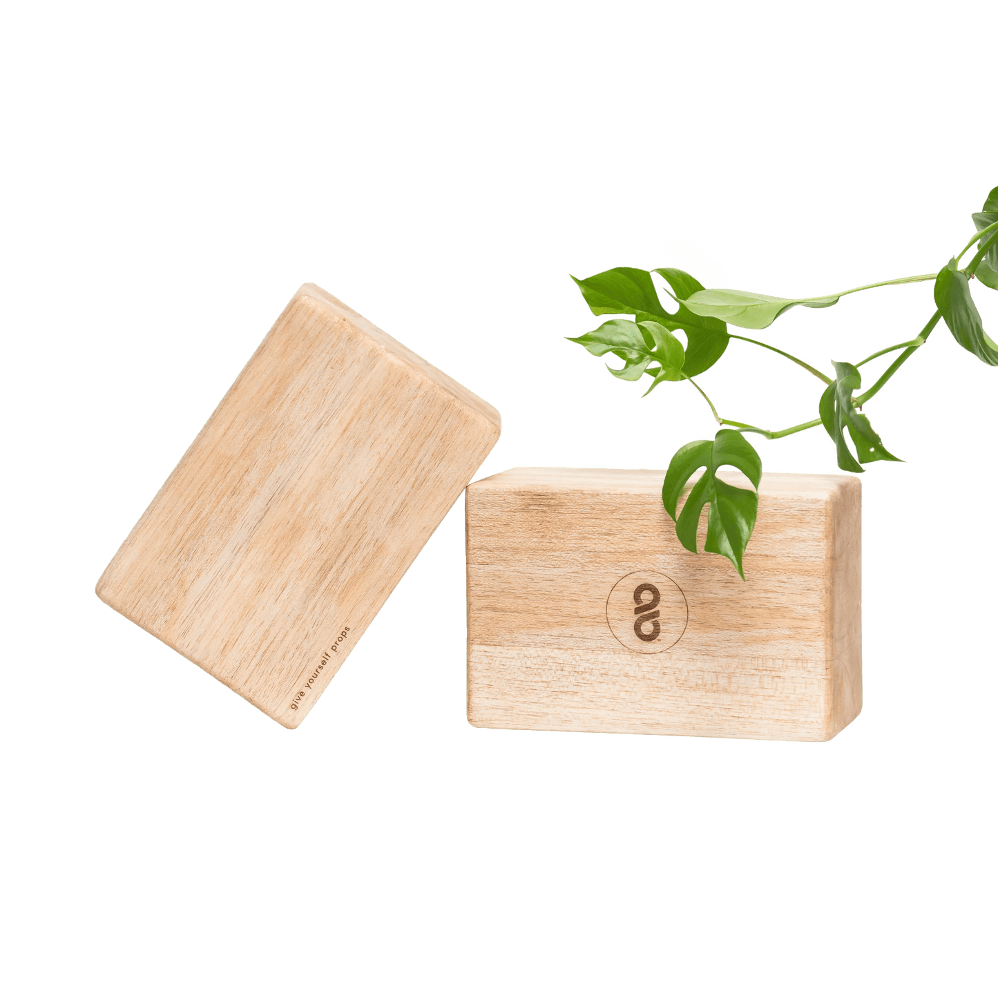 Yoga Block | Balsa Wood + Beeswax with plant