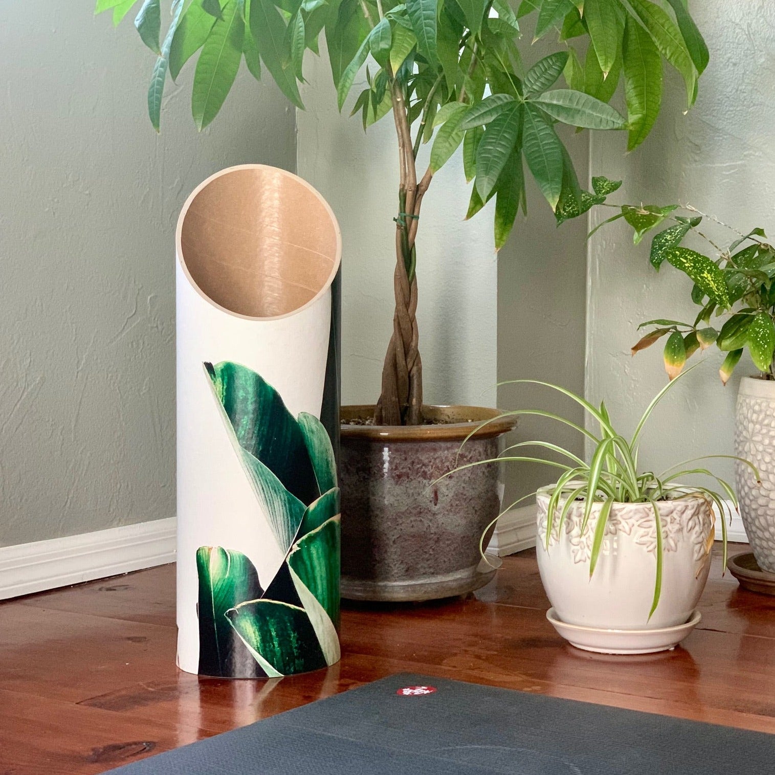 Palm Yoga Mat Tube In Yoga Room