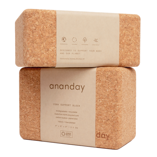 Ananday cork yoga block set of two